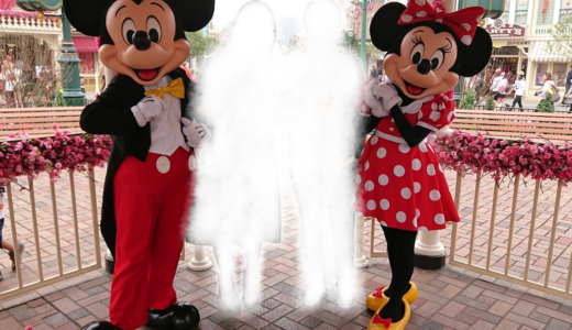 【悲報】ディズニー好きでない旦那、6時間で帰路に就く